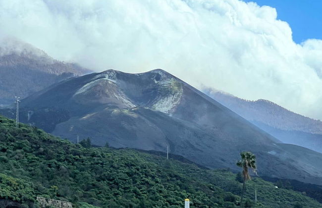 La Palma & Tajogaite Volcano Day Trip - Foto 4
