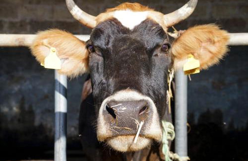 Masseria La Fica - Foto 64