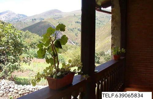 LA NOZAL piscina, barbacoa, jardín - Foto 6