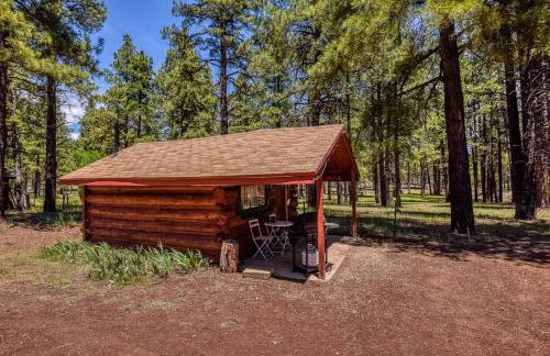 Rogers Cabin Historic Log Cabin in the Woods Near Grand Canyon Flagstaff - Foto 5