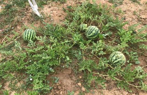 Apartamento en casa de campo cerca de la playa - Foto 19