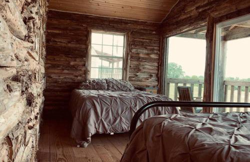 Center Stage Yellow Rose Canyon - Foto 9