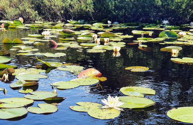 Holiday Home in Hälleviksstrand - Foto 22