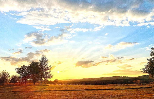 Green Hillside Apartment-petit Wilogne - Photo 32