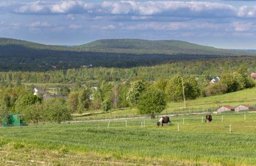 Noclegi u Banysia w sercu Gór Świętokrzyskich - Foto 70