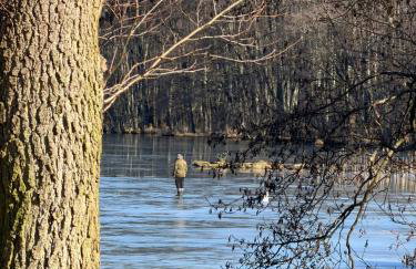 Ostoja Dębowa Studnica - Foto 48