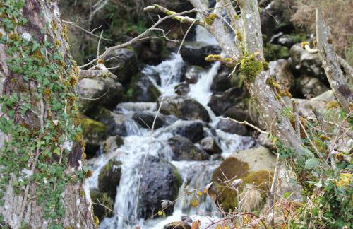 Apartamentos San Antonio de Garabandal - Foto 39