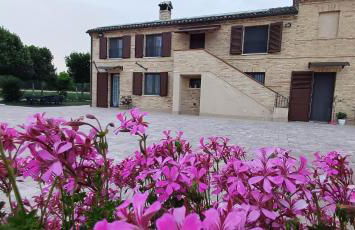 Il Cipresso - Foto 14