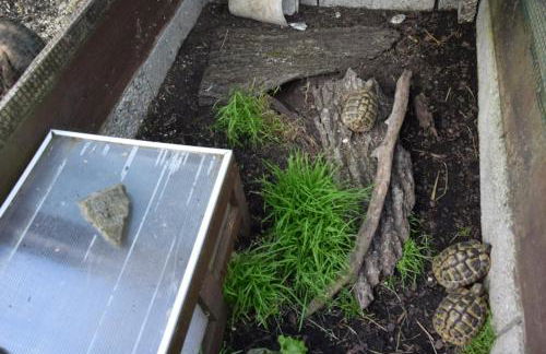 Ferienwohnung Berge & Seen - Foto 20