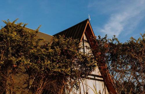 Arroyo & Grapes - Foto 7