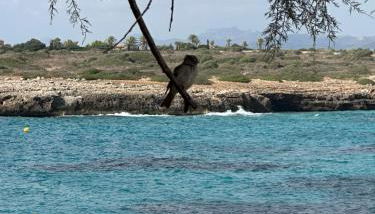 Cala Morlanda - Foto 2