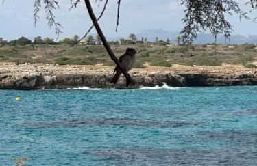Cala Morlanda - Foto 2