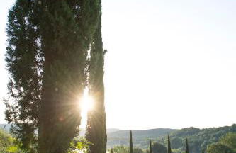 Tenuta La Tabaccaia - Foto 22