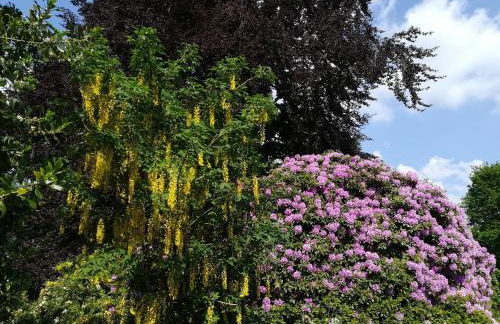 Wassermühle Stemmen - Foto 15