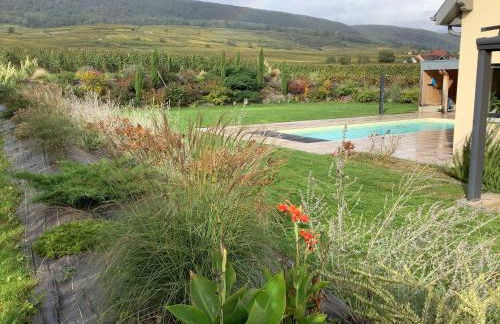 Superbe Maison Jacuzzi+Piscine au cœur des vignes - Foto 7