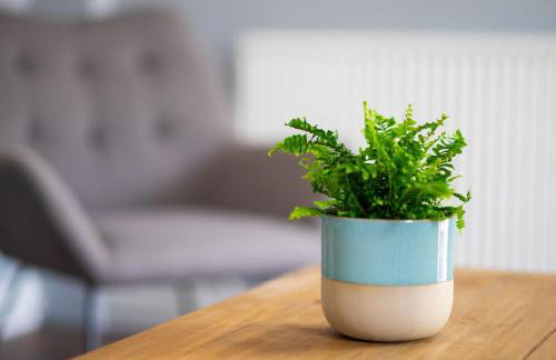 Royd Cottage at Lower Aylescott - Foto 8