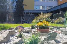 Maria Altreichenau - Foto 61