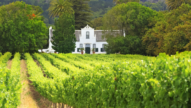Private Full Day Constantia Wine Tour - Foto 4