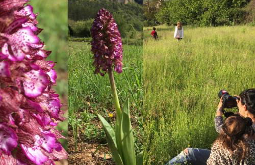 Gîte La Cerise Qui Rit - Photo 29