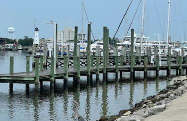 Feels like HOME escape, 1/2 Mile to beach - Foto 31