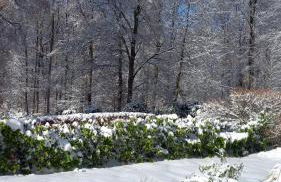 Haus am Wald - Foto 10