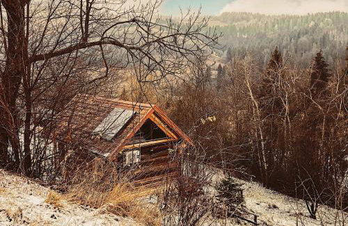 Góralskie domy w Łostówce - Foto 45