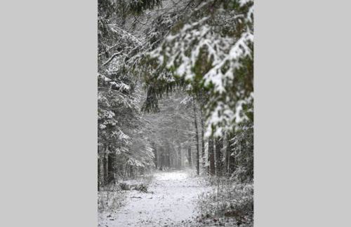 Apartament w Puszczy Białowieskiej - Foto 15