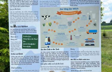 PURE! Willingen - Modern - Natürlich - Pur - Foto 24