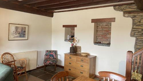 Phlomis - Photo 3, Other