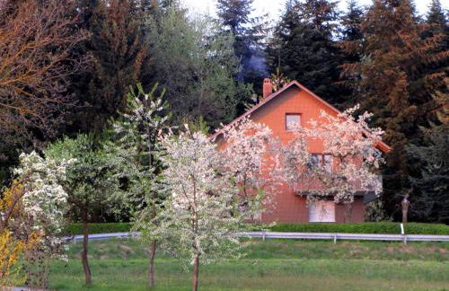 Haus Hollerbusch - Foto 37