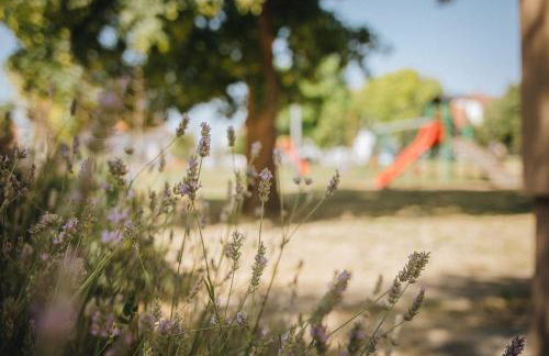 BelleVu studio apartman - Foto 42