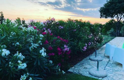 Villa Oliva Istria - Foto 39