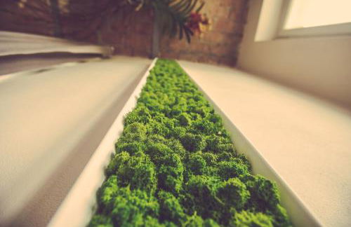 Langhe Country House - Foto 37