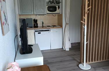 Studio Cabine RDC Pied des Pistes - Foto 11