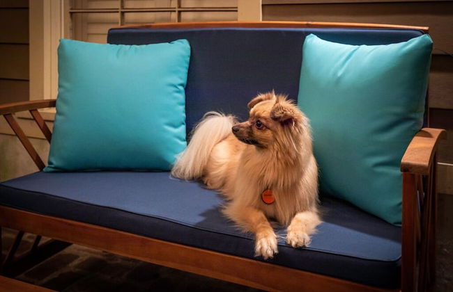 Southern Belle Garden - Photo 17