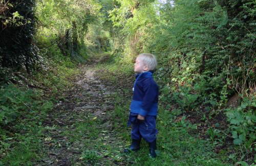 Gites Les Rainettes - Foto 9