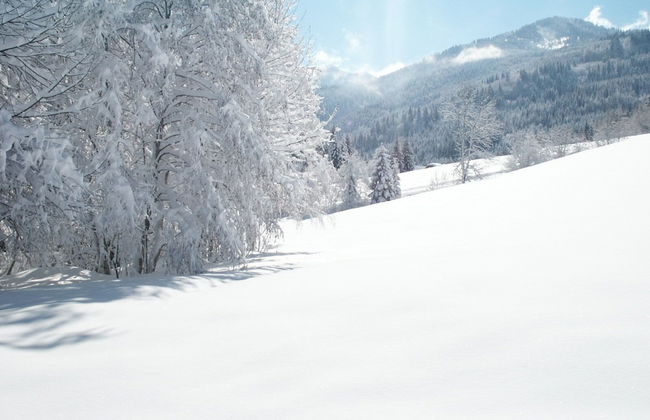 Chalets Zöhrer - Wohnen am Wasser - Photo 20