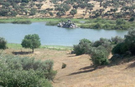 MONTE DO SALTO DA RAPOSA - Foto 30