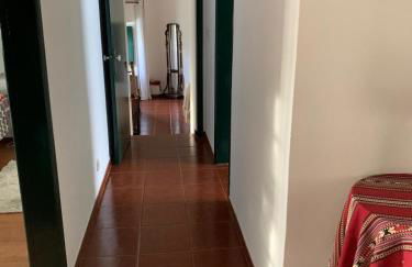 Santuário SOS Animal - Foto 40