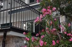 Apartman Nagy - Foto 1