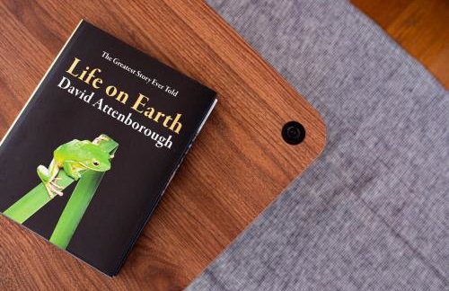 Architect built Japandi-Style luxury home, Unique home in the heart of Finsbury Park, Central London in 10minutes, Near Arsenal and Tottenham Stadiums - Foto 25