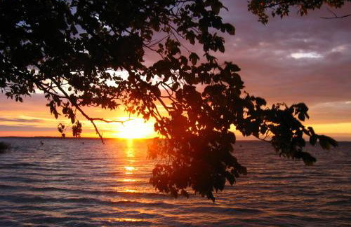 Feriendorf Boeker Mühle - Foto 22