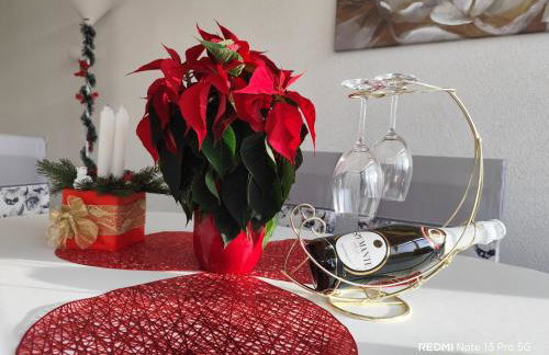 Apartman Mali raj - Foto 41