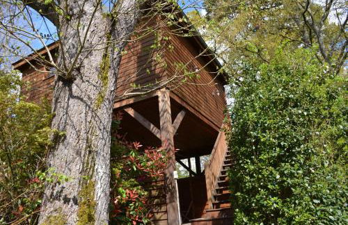 Cabane avec Jacuzzi privatif du Manoir du Parc - Adults only - Foto 24