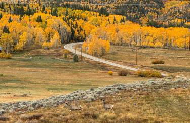 Peaceful A-Frame Cabin - Great Views with Hot Tub - Foto 53