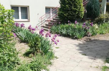 Kawalerka przy termach - Foto 25