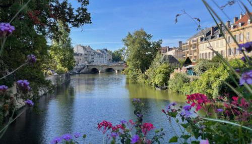Les Gîtes de l'ile à Metz - Foto 5