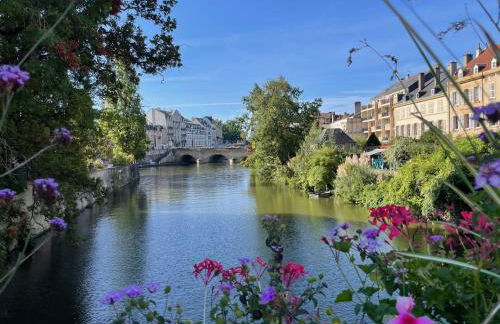 Les Gîtes de l'ile à Metz - Foto 5