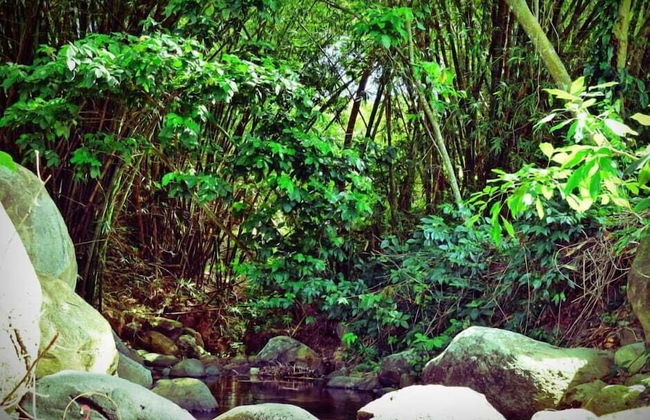 ClarenceVille Villa Apartments - Foto 28