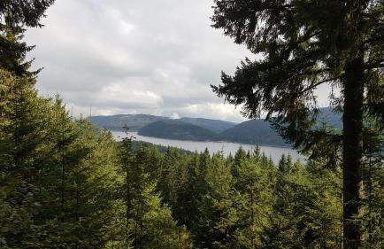 Ferienwohnung am Schneeberg - Foto 31